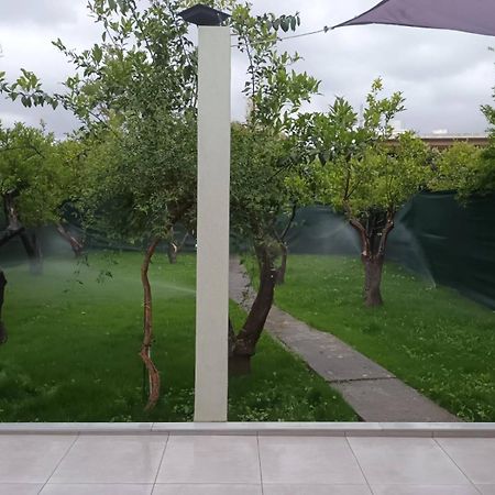 Olgas Cozy Home Hriszí Aktí Haniá Kültér fotó